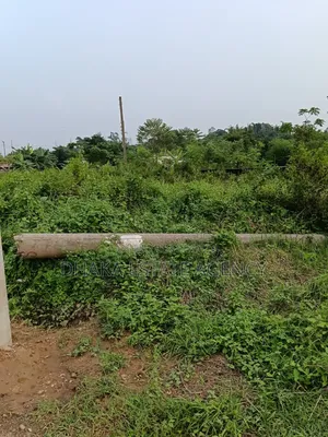 Sector-13, 3 Katha South/East Box Corner