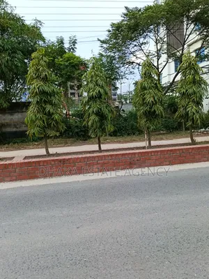 Block-M, Corner 10 Katha Plot Sale