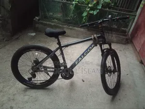 A Bicycle for Sale