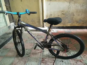 Phoenix Cycle