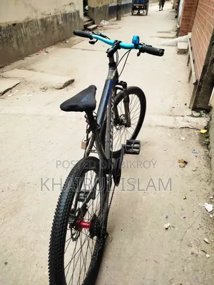 Phoenix Cycle