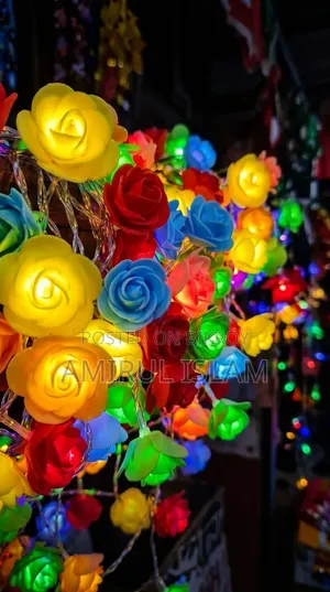 ২৫ ফিট মাল্টিকালার রোজ লাইট