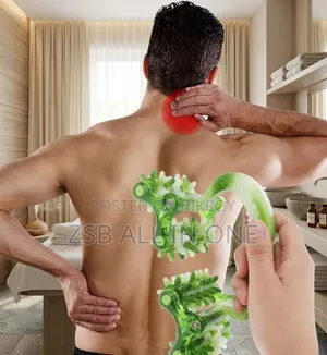 Household Whole Body Massage