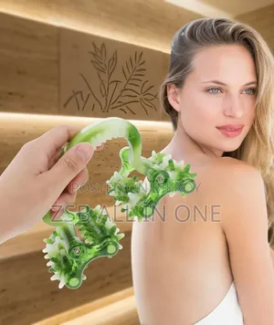 Household Whole Body Massage