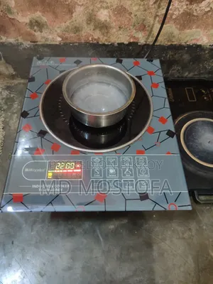 ইলেকট্রিক চুলা ইন্ডাকশন