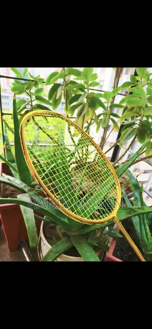 ব্যাডমিন্টন র‍্যাকেট