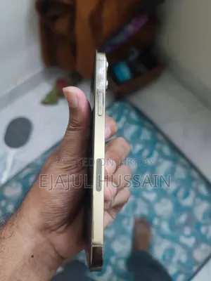অ্যাপল আইফোন ১২ প্রো ম্যাক্স ১২৮ জিবি রোজ গোল্ড