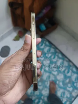 অ্যাপল আইফোন ১২ প্রো ম্যাক্স ১২৮ জিবি রোজ গোল্ড