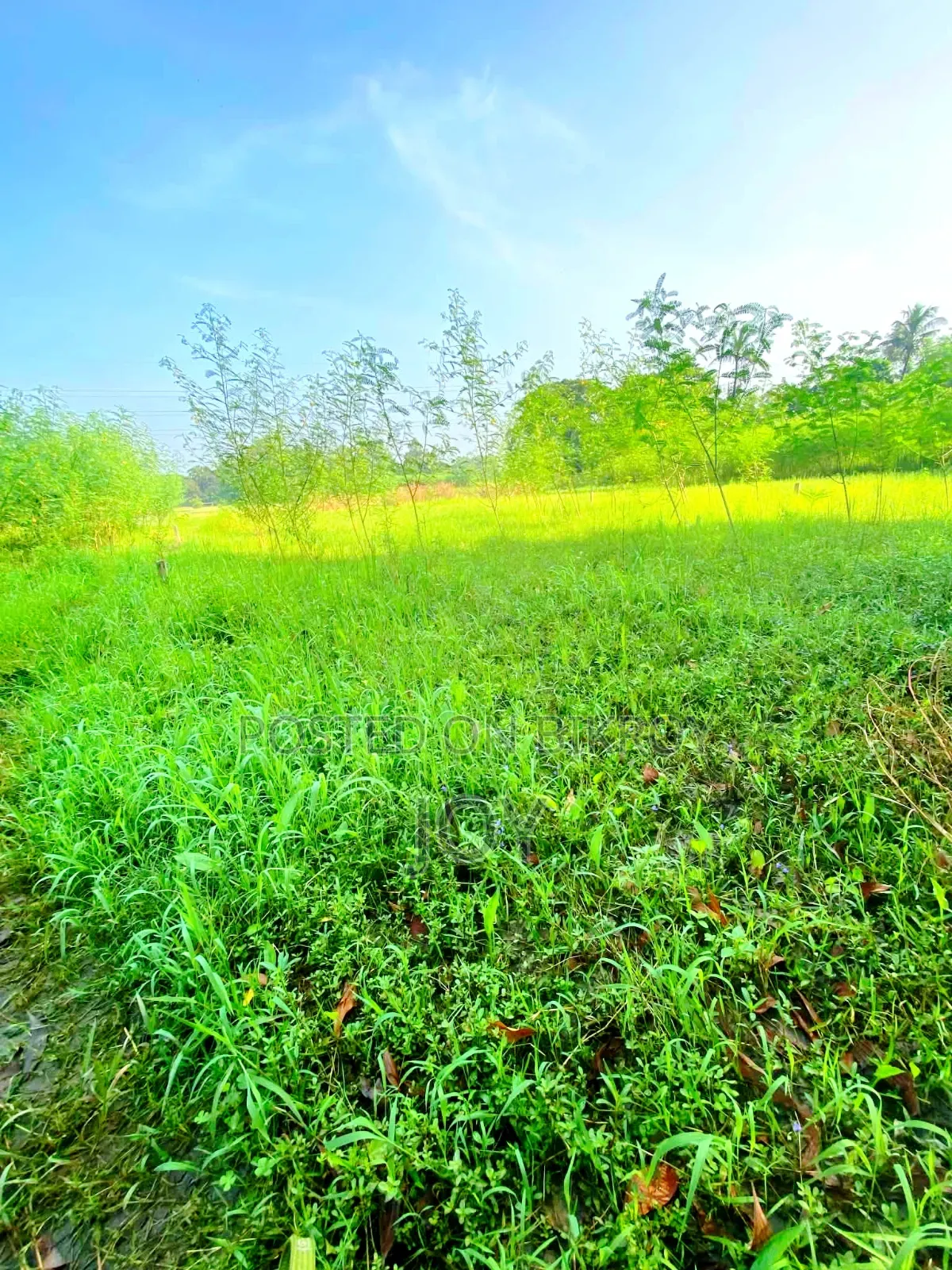 Land for sell Fixed Price