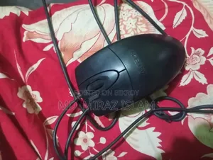 কিবোর্ড এবং মাউস
