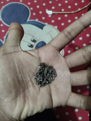 রুপার চেইন