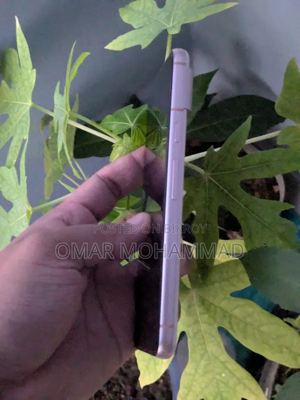গুগল পিক্সেল ৮ ১২৮ জিবি রোজ গোল্ড
