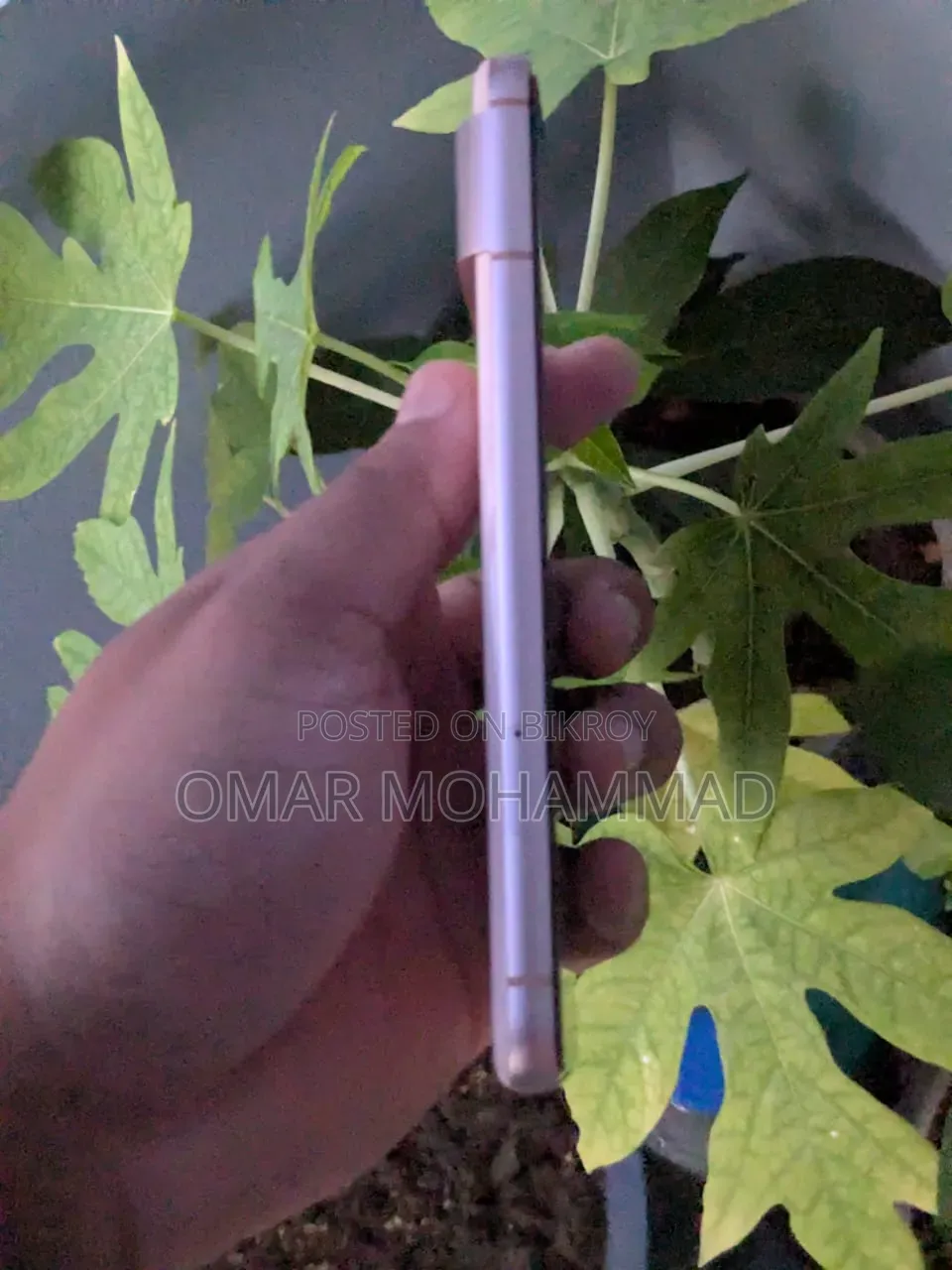গুগল পিক্সেল ৮ ১২৮ জিবি রোজ গোল্ড