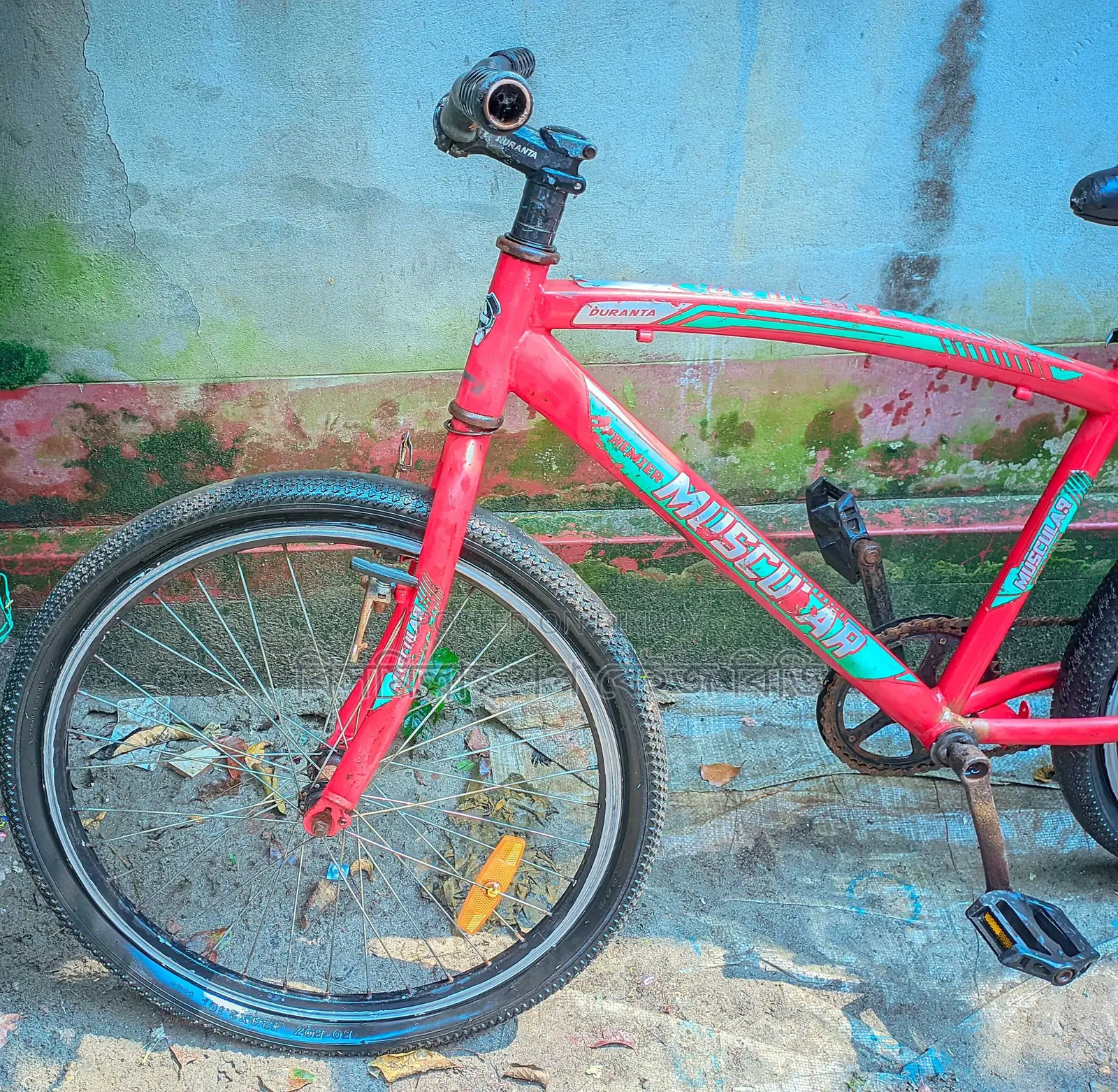 Cycle for Sale