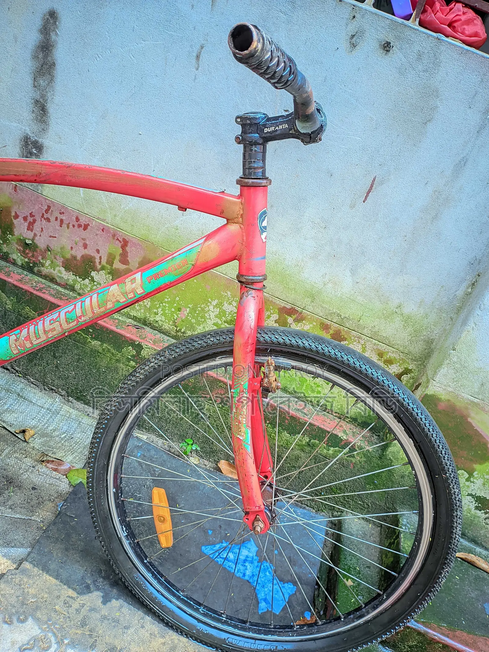 Cycle for Sale