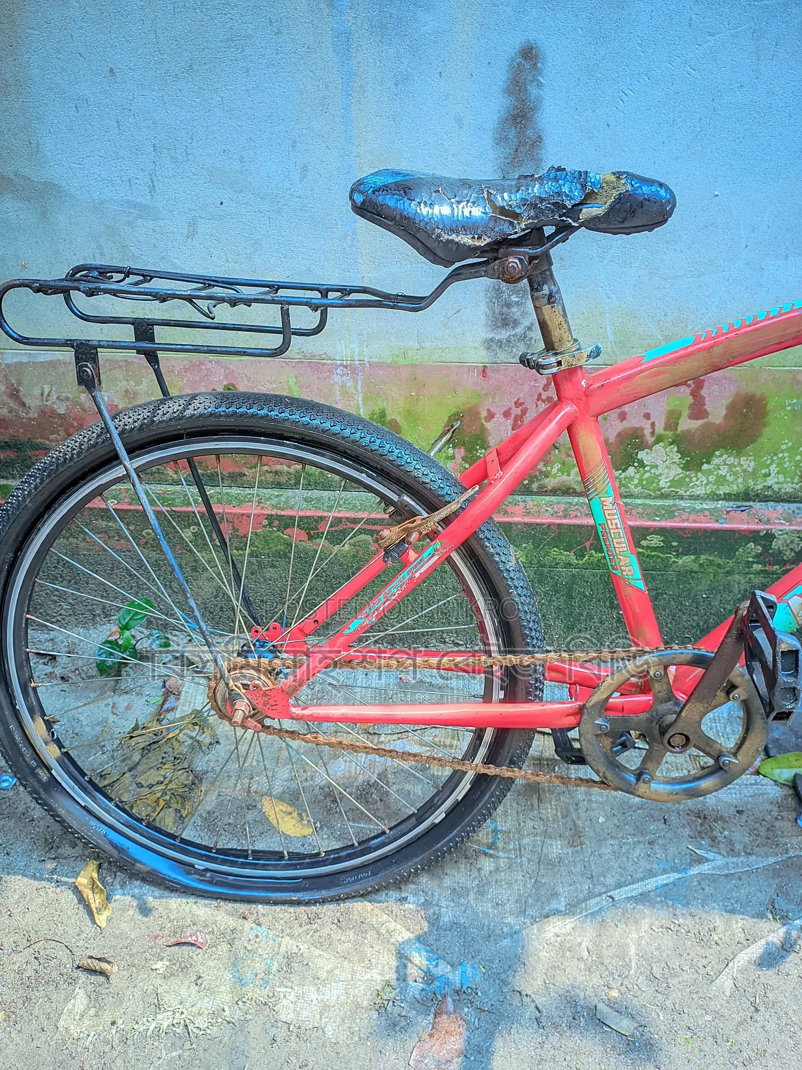 Cycle for Sale