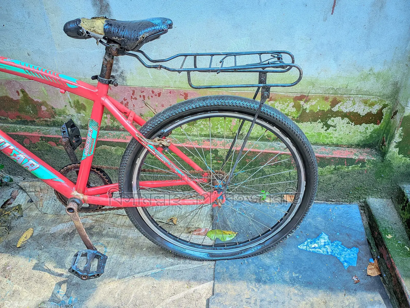 Cycle for Sale