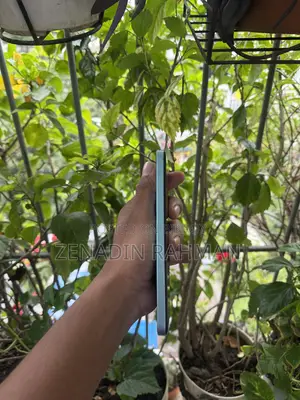 Xiaomi Redmi Note 14 4G 256 GB Blue