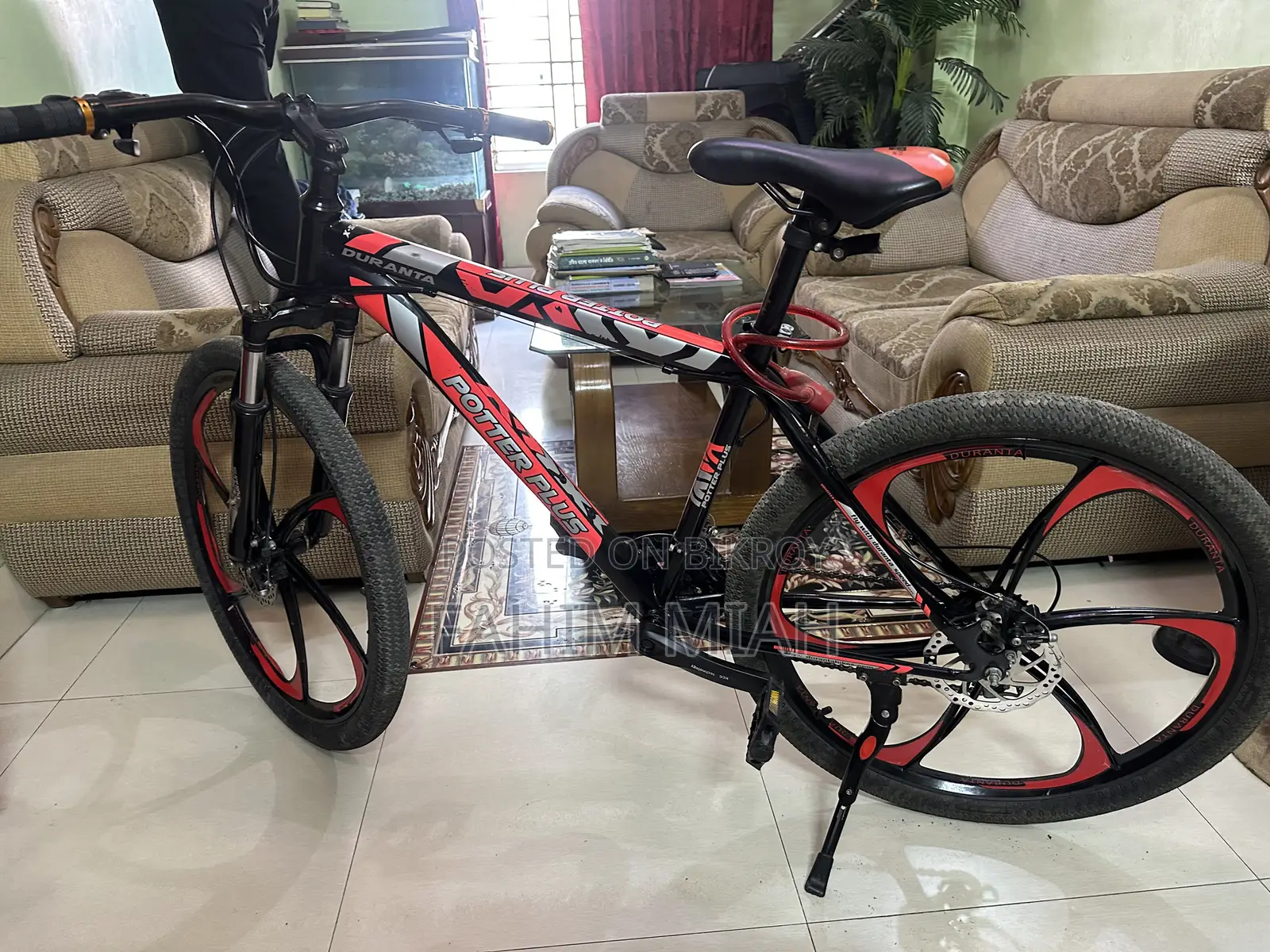 Duronto Cycle