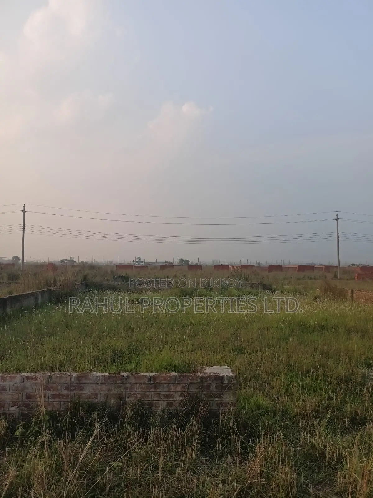 পি ব্লক ৩ কাটা [দক্ষিণমুখী] জমি বিক্রয়