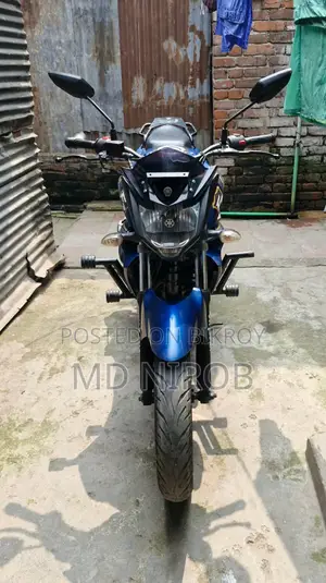 Yamaha FZS V2 2024 নীল