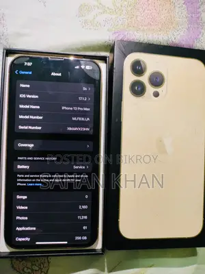 অ্যাপল আইফোন ১৩ প্রো ম্যাক্স ২৫৬ জিবি গোল্ড