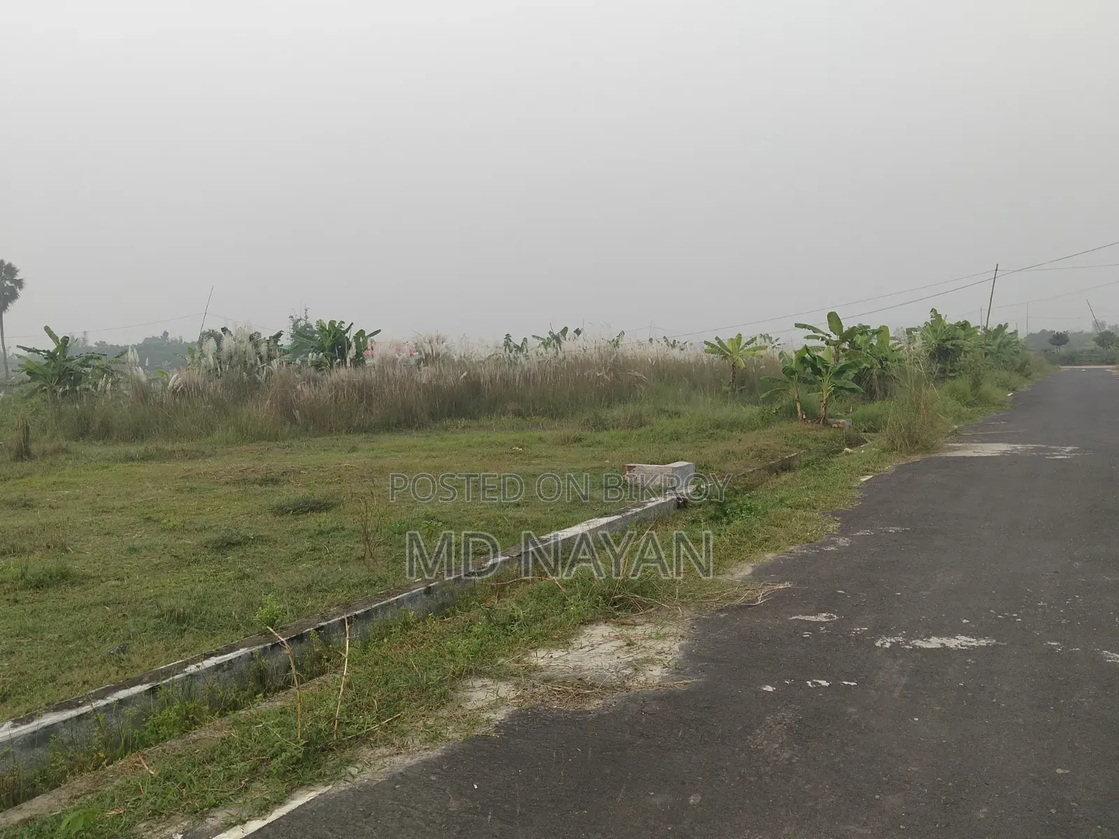 5 Katha Plot for Sale Urgently at a Low Price.