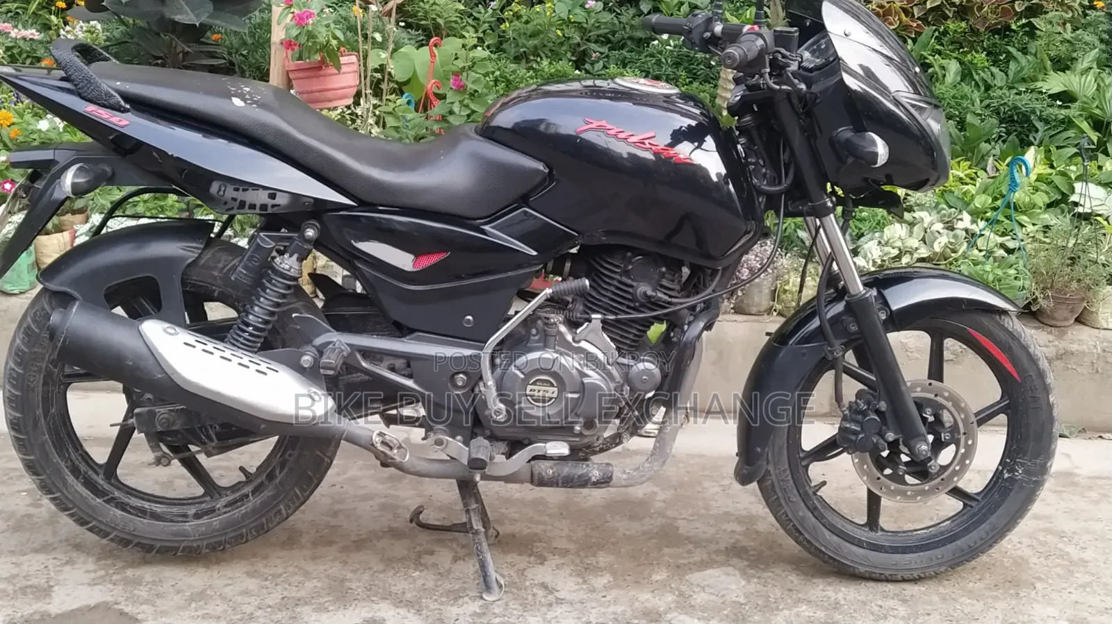 Bajaj Pulsar 150 2023 Black