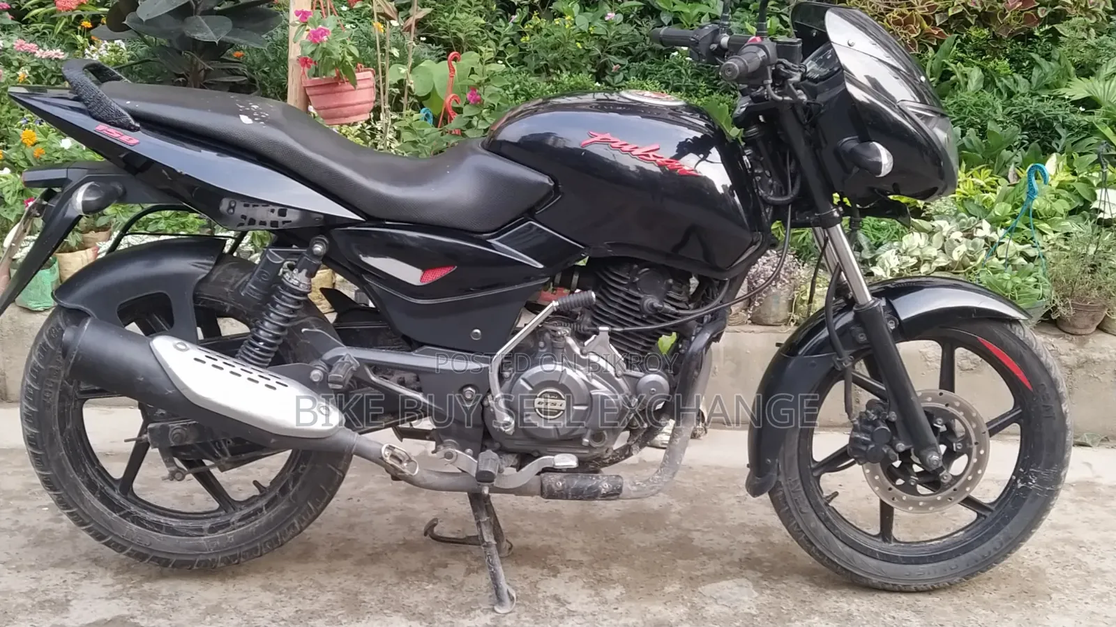 Bajaj Pulsar 150 2023 Black