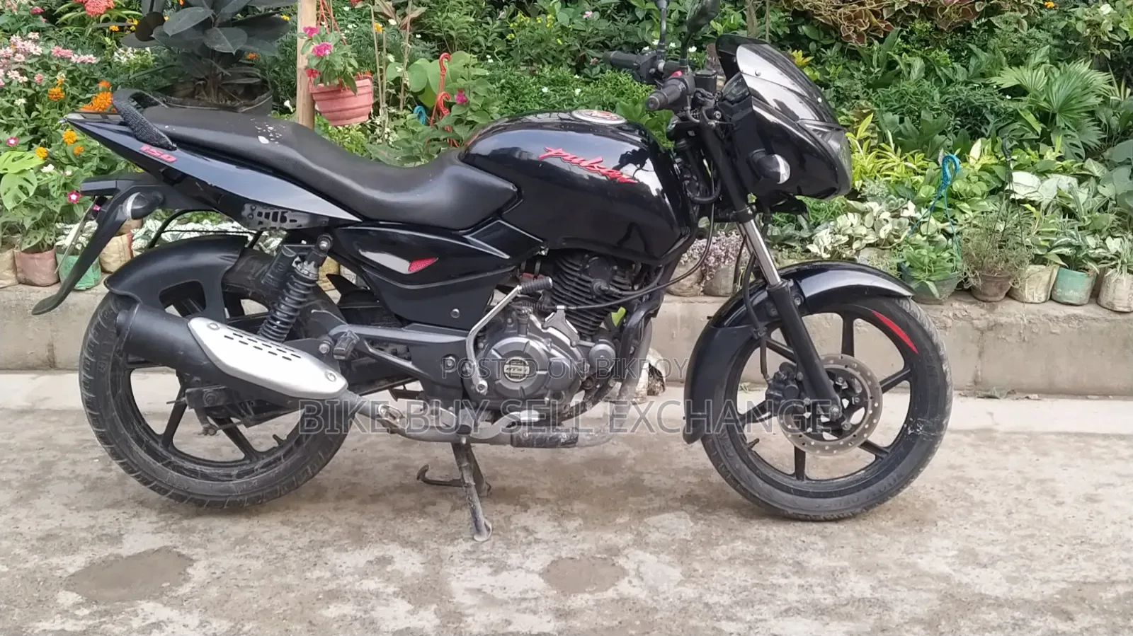 Bajaj Pulsar 150 2023 Black