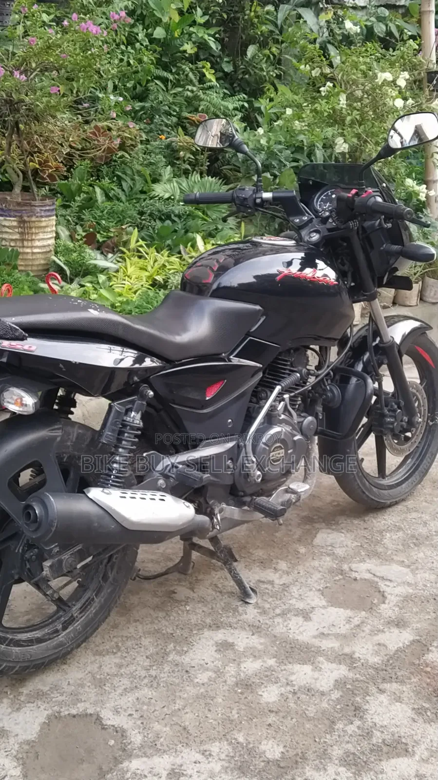 Bajaj Pulsar 150 2023 Black