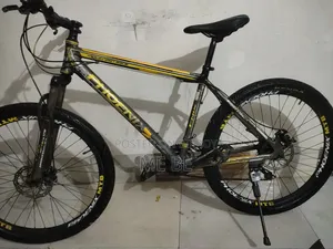 Phoenix for Sale