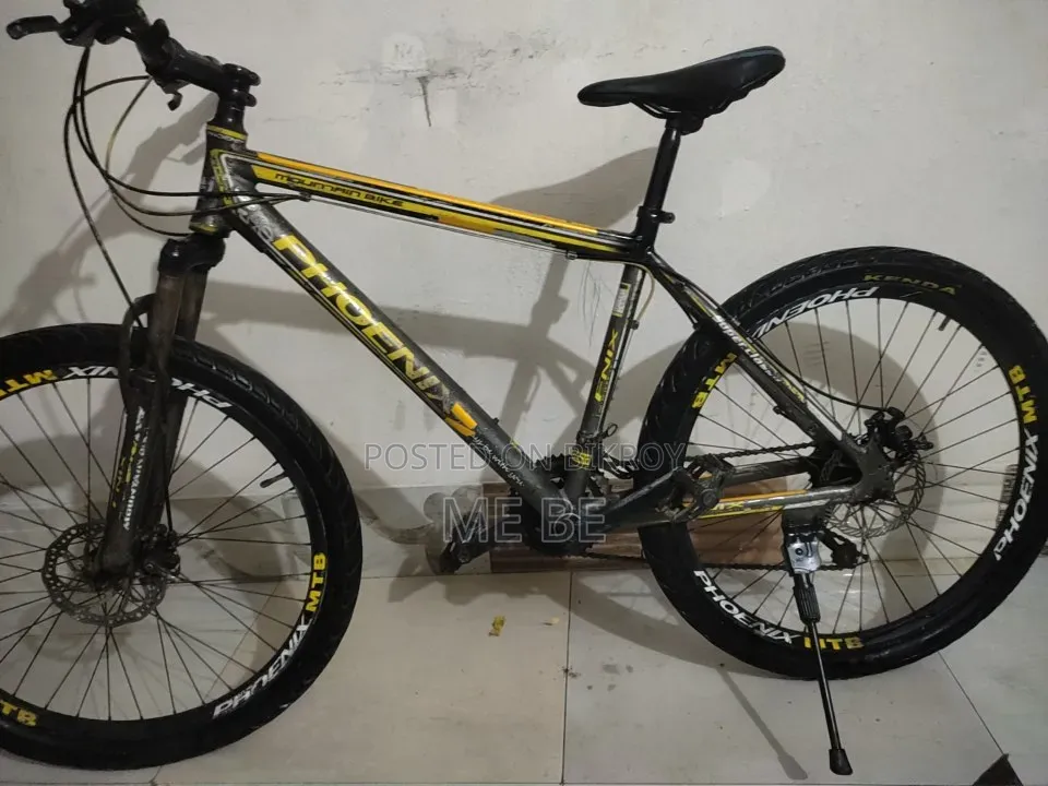 Phoenix for Sale
