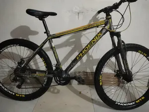Phoenix for Sale