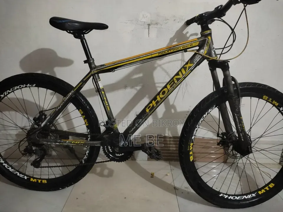 Phoenix for Sale