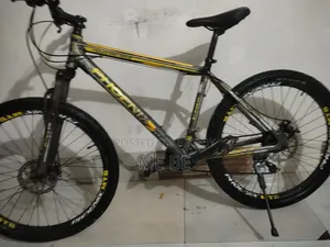 Phoenix for Sale
