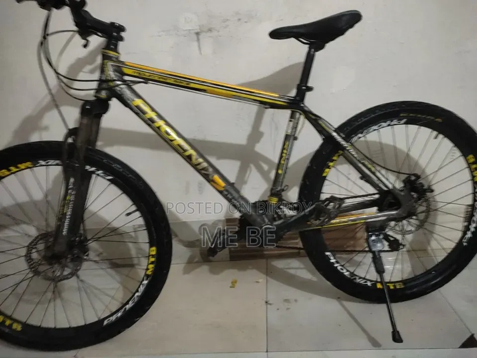 Phoenix for Sale