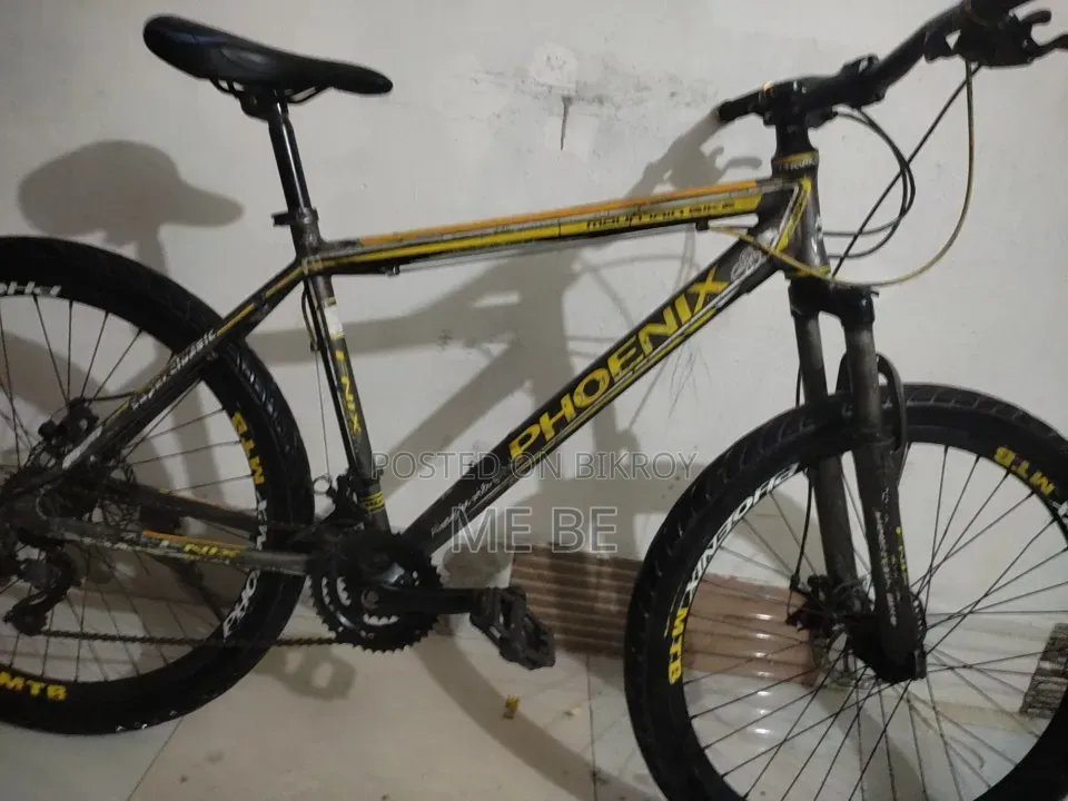 Phoenix for Sale