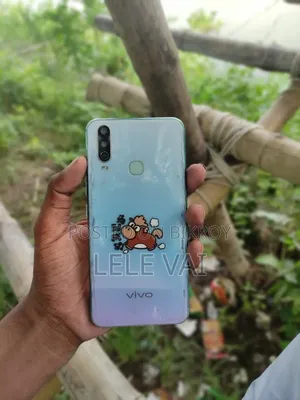 ভিভো ওয়াই১৭ ২৫৬ জিবি কমলা