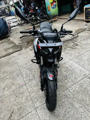 Bajaj Pulsar N250 2023 Black