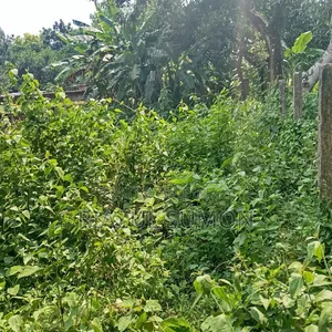 6 decimal land for sale in Ashulia Charabagh area