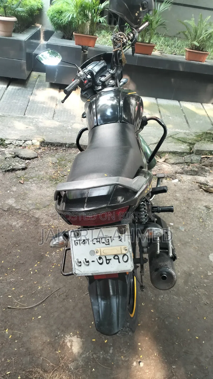 Yamaha Saluto 125 2020 Green