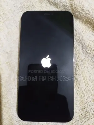 Apple iPhone 12 Pro 256 GB