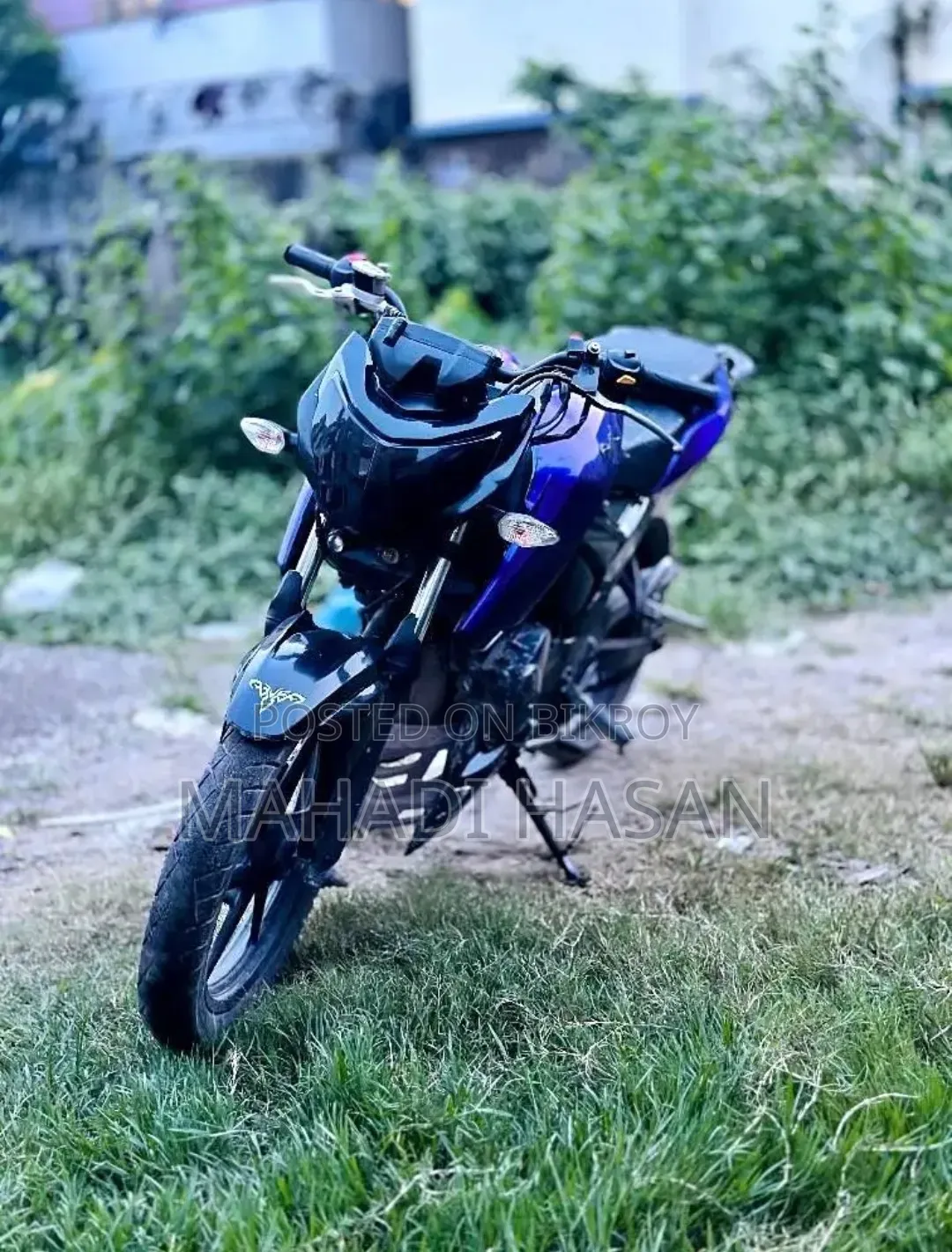 নতুন হোন্ডা টুডে ২০২৪ গোলাপি