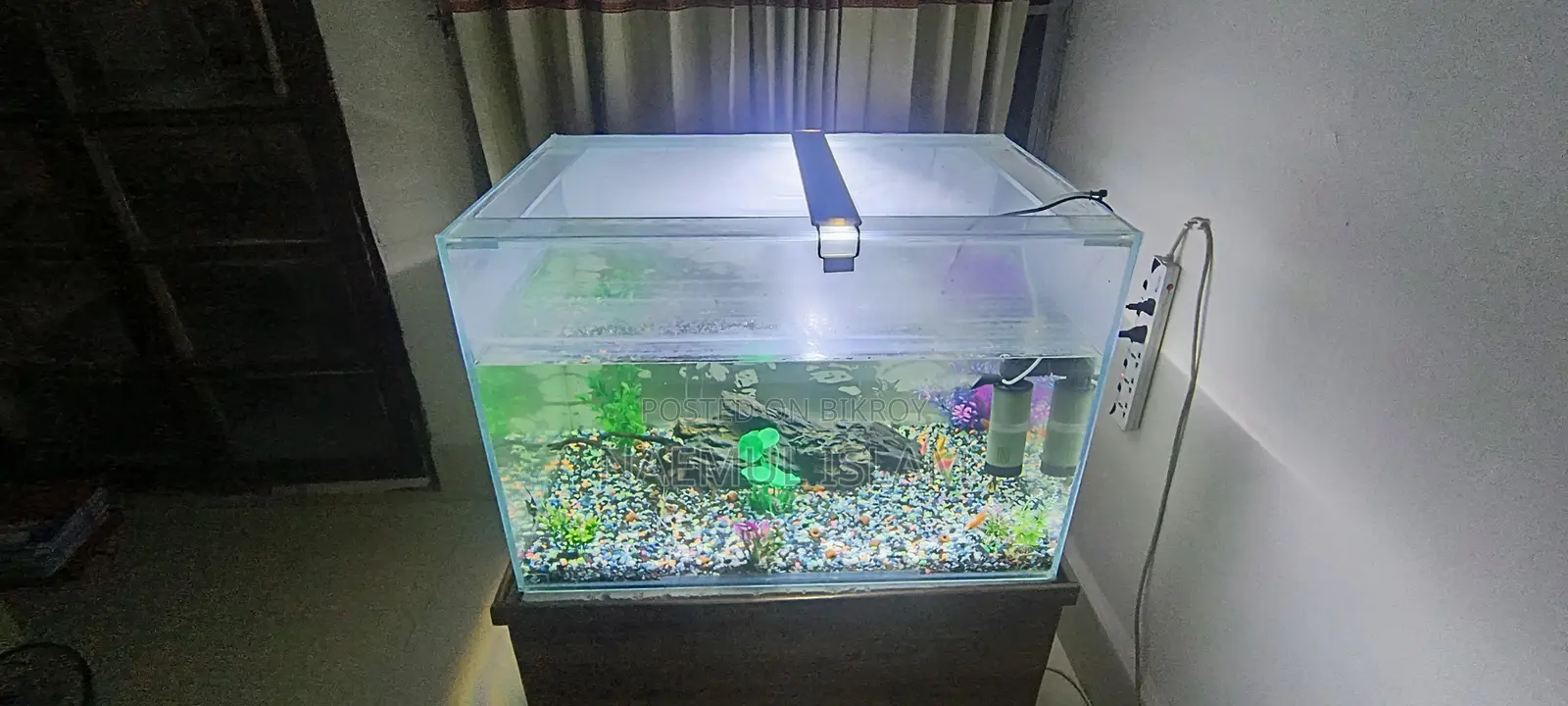 Aquarium Planet's