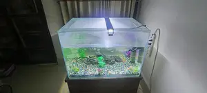 Aquarium Planet's