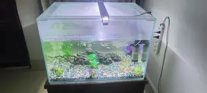 Aquarium Planet's