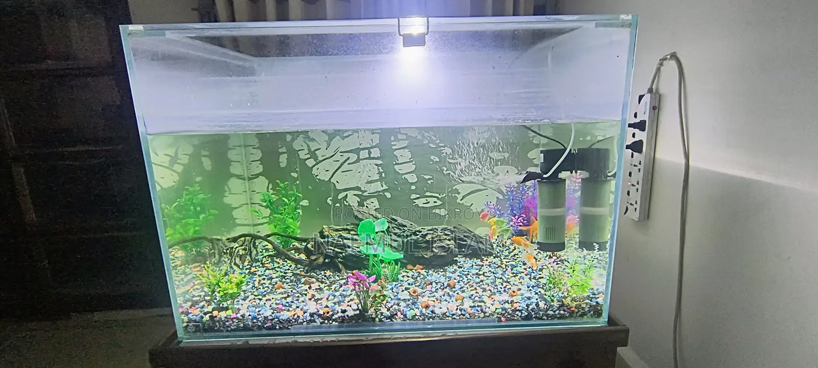 Aquarium Planet's