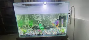 Aquarium Planet's