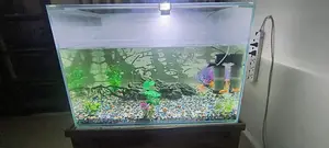 Aquarium Planet's